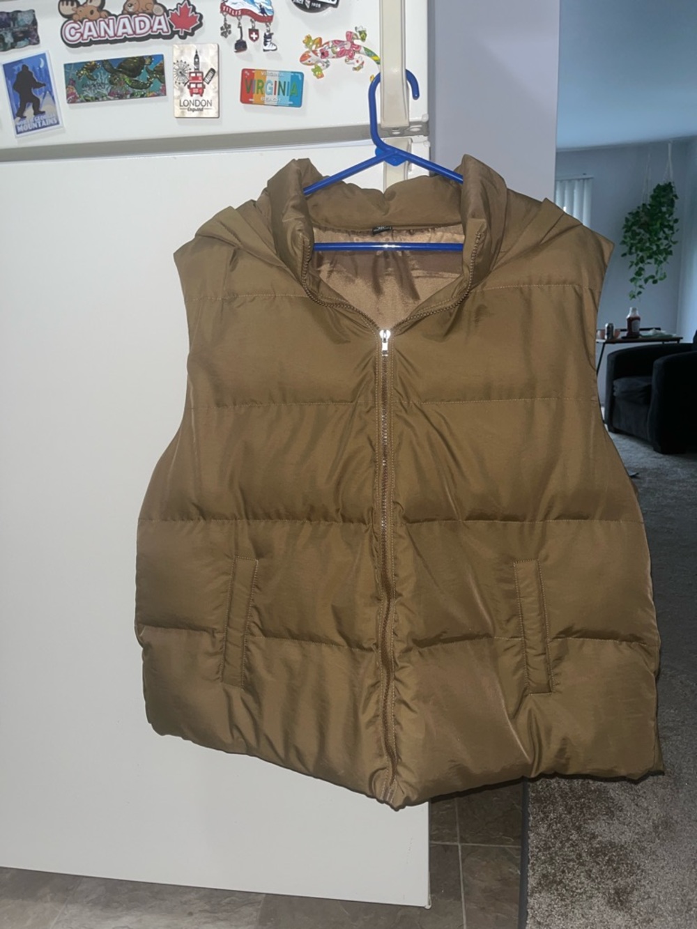 SHEIN Brown Hooded Puffer Vest